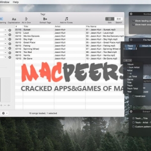 Tagr 4.6.5 for mac 组织 MP3/M4A/FLAC 收藏，可以方便地编辑信息