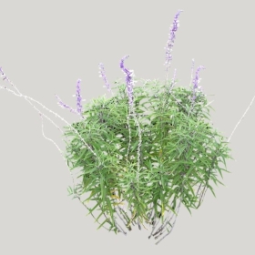 ͼʦģֲģȫ20221923