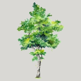 ͼʦģֲģȫ20221916