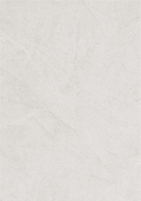 ʯɲǽשǽש 316X450˼45069   316X450MM