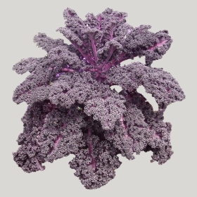 ͼʦģֲģȫ20221763