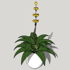 ͼʦSketchupƷģ20221125ϴ041