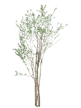 720úMtree24