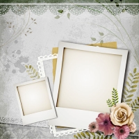 PSD�ʻ�����ģ��Դ�ļ�FL-0432