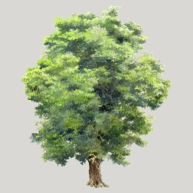 ͼʦģֲģȫ20222574