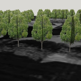 ͼʦģֲģȫ20222710