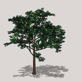 ͼʦģֲģȫ20221251