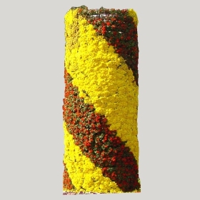 ͼʦģֲģȫ20222458