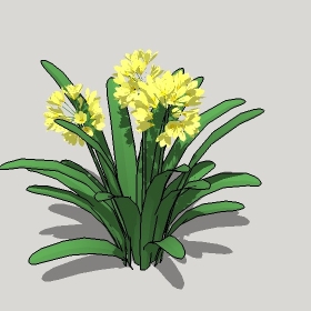 ͼʦģֲģȫ20221262