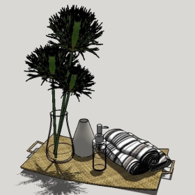 ϴƷSketchupͼʦģEnscape20220425698