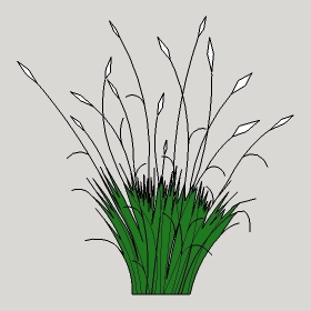 ͼʦģֲģȫ20221554