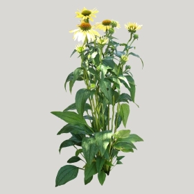 ͼʦģֲģȫ20221116