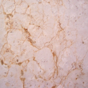 ʯMarble_48