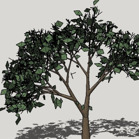 ͼʦģֲģȫ20222367