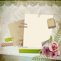 PSD�ʻ�����ģ��Դ�ļ�FL-0437