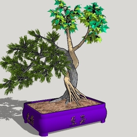 ͼʦģֲģȫ20222726