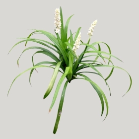 ͼʦģֲģȫ20221843