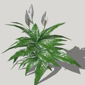 ͼʦģֲģȫ20222721