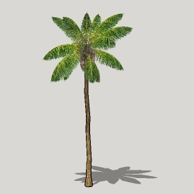 ͼʦģֲģȫ20221186