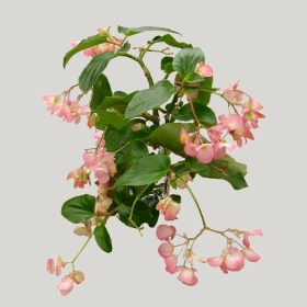 ͼʦģֲģȫ20221572