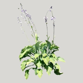 ͼʦģֲģȫ20221648