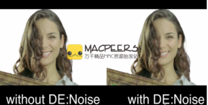 RevisionFX DENoise 3.1.3 (Mac OS X)