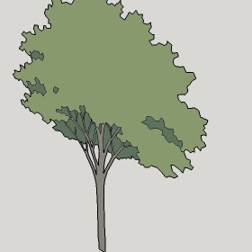 ͼʦģֲTTrees2Dֱģ124