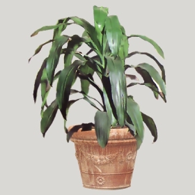 ͼʦģֲģȫ20222460