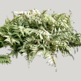 ͼʦģֲģȫ20221737