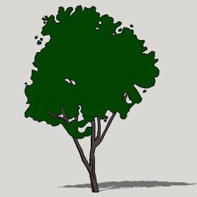 ͼʦģֲTTrees2Dֱģ059