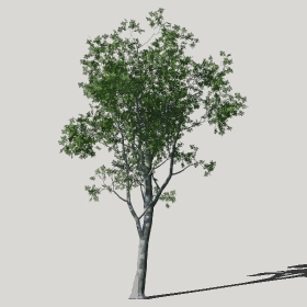 ͼʦģֲģȫ20222442