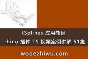 05 tSplines Ӧý̳ rhino  TS Ƶ 51