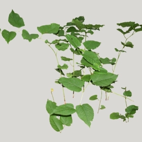 ͼʦģֲģȫ20221732