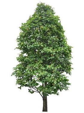 720úJ3_44