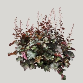 ͼʦģֲģȫ20221165