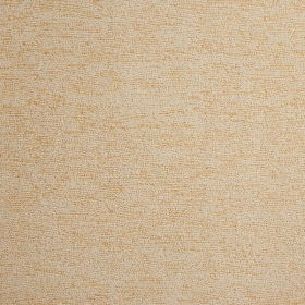 ͼⲼ-elizabeth-ly6781