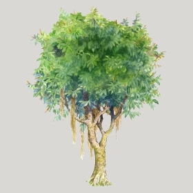 ͼʦģֲģȫ20221307