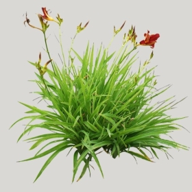 ͼʦģֲģȫ20221015