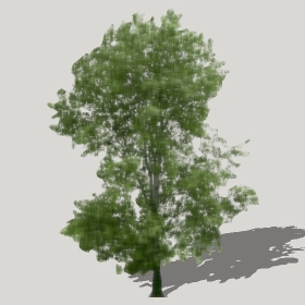 ͼʦģֲģȫ20222411