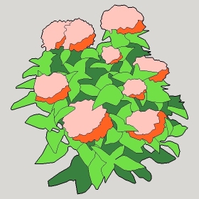 ͼʦģֲģȫ20222689