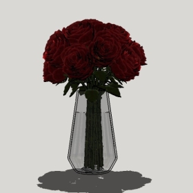 ����_Sketchup��ͼ��ʦģ��Enscape����22020426372