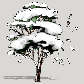 ͼʦģֲģȫ20222653