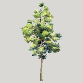 ͼʦģֲģȫ20222490