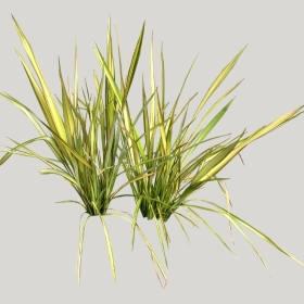 ͼʦģֲģȫ20221984