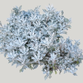 ͼʦģֲģȫ20221099