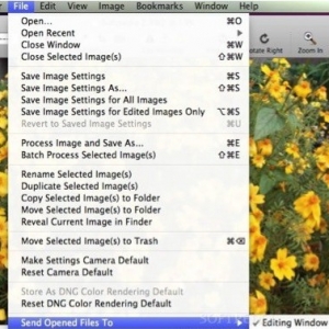 Iridient Developer for mac 3.0.3 – RWM处理和转换工具 摄影必备 最新绿化版