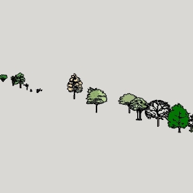 ͼʦģֲģȫ20222666