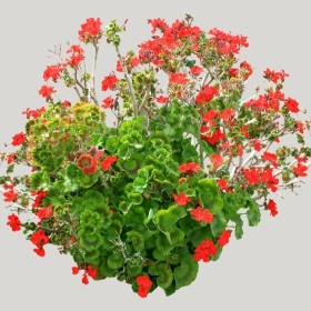 ͼʦģֲģȫ20221444