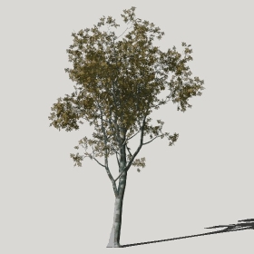 ͼʦģֲģȫ20222440