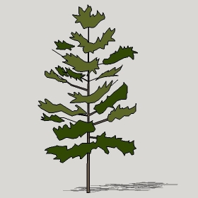 ͼʦģֲTTrees2Dֱģ056